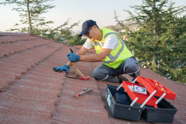 Best Local Roofing Companies  in Roebling, NJ